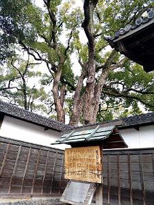 NAGOYA - Parc Tokugawa - 10.01.2024 - 03
